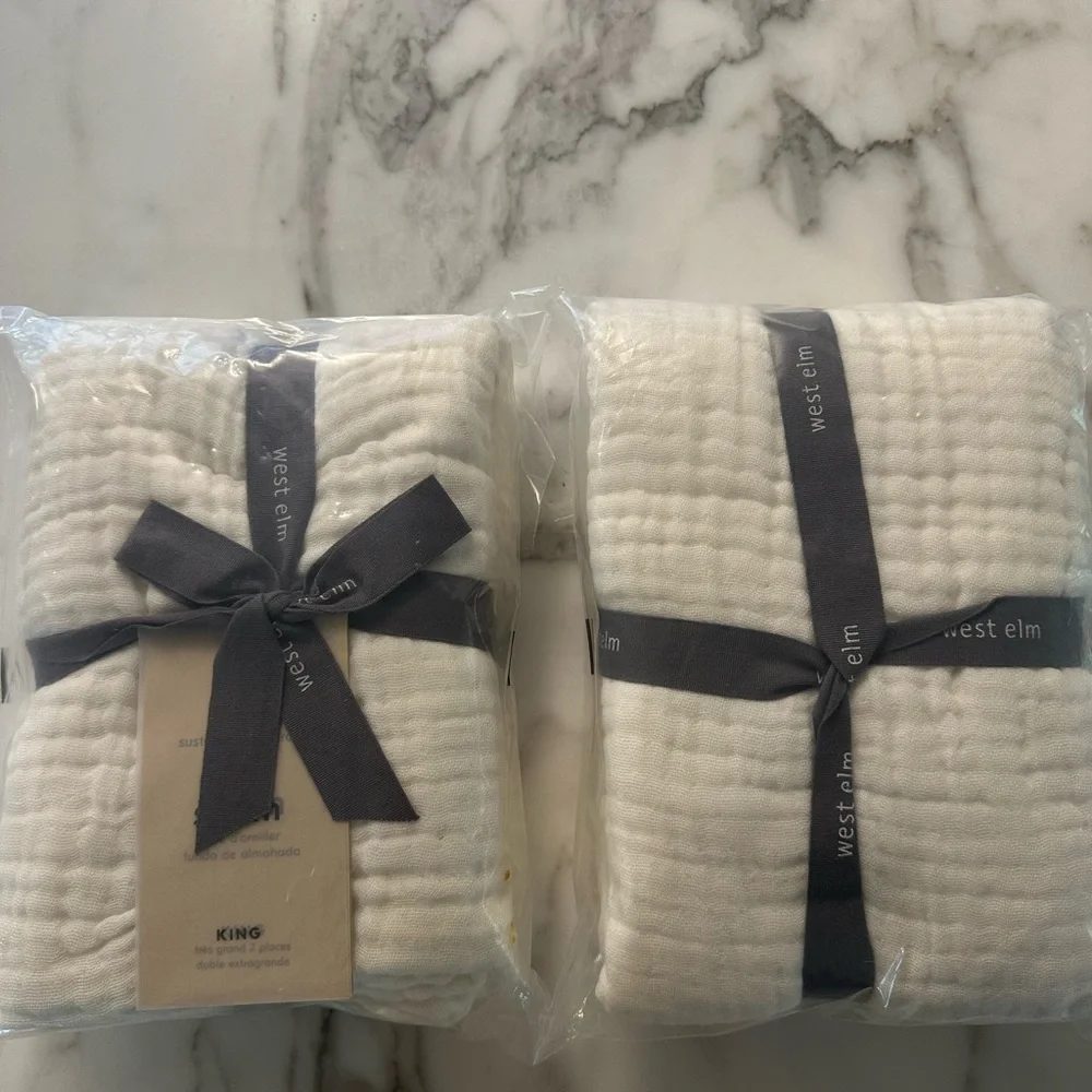 West Elm Dreamy Cotton Gauze King Shams (2) | White